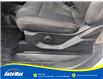 2019 Ford F-150 XL (Stk: B1042) in Sarnia - Image 18 of 29