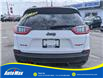 2022 Jeep Cherokee Trailhawk (Stk: B1773) in Sarnia - Image 6 of 30