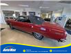 1965 Chevrolet MALIBU SS 283 V8 CONVERTIBLE (Stk: B1830) in Sarnia - Image 4 of 18