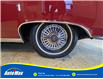 1965 Chevrolet MALIBU SS 283 V8 CONVERTIBLE (Stk: B1830) in Sarnia - Image 6 of 18