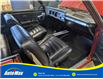 1965 Chevrolet MALIBU SS 283 V8 CONVERTIBLE (Stk: B1830) in Sarnia - Image 17 of 18