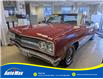 1965 Chevrolet MALIBU SS 283 V8 CONVERTIBLE (Stk: B1830) in Sarnia - Image 18 of 18