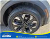 2023 Kia Sportage X-Line Limited w/Green Interior (Stk: B1801) in Sarnia - Image 11 of 30
