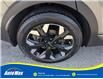 2023 Kia Sportage X-Line Limited w/Green Interior (Stk: B1801) in Sarnia - Image 12 of 30