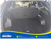 2023 Kia Sportage X-Line Limited w/Green Interior (Stk: B1801) in Sarnia - Image 14 of 30