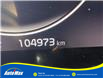 2023 Kia Sportage X-Line Limited w/Green Interior (Stk: B1801) in Sarnia - Image 16 of 30
