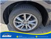2020 Acura RDX Elite (Stk: B1800) in Sarnia - Image 10 of 29