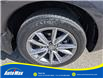2020 Acura RDX Elite (Stk: B1800) in Sarnia - Image 11 of 29