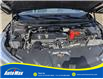 2020 Acura RDX Elite (Stk: B1800) in Sarnia - Image 13 of 29