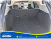 2020 Acura RDX Elite (Stk: B1800) in Sarnia - Image 14 of 29