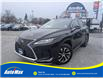 2022 Lexus RX 350 Base (Stk: B1817) in Sarnia - Image 1 of 29