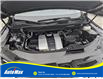 2022 Lexus RX 350 Base (Stk: B1817) in Sarnia - Image 13 of 29
