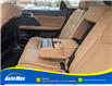 2022 Lexus RX 350 Base (Stk: B1817) in Sarnia - Image 25 of 29