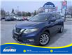 2020 Nissan Rogue S (Stk: B1808) in Sarnia - Image 1 of 28
