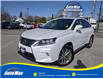 2015 Lexus RX 350 Sportdesign (Stk: B1810A) in Sarnia - Image 1 of 28