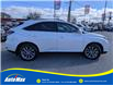2015 Lexus RX 350 Sportdesign (Stk: B1810A) in Sarnia - Image 4 of 28