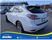 2015 Lexus RX 350 Sportdesign (Stk: B1810A) in Sarnia - Image 7 of 28
