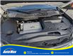 2015 Lexus RX 350 Sportdesign (Stk: B1810A) in Sarnia - Image 13 of 28