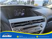 2015 Lexus RX 350 Sportdesign (Stk: B1810A) in Sarnia - Image 17 of 28
