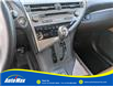 2015 Lexus RX 350 Sportdesign (Stk: B1810A) in Sarnia - Image 18 of 28