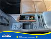2015 Lexus RX 350 Sportdesign (Stk: B1810A) in Sarnia - Image 19 of 28