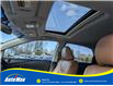 2015 Lexus RX 350 Sportdesign (Stk: B1810A) in Sarnia - Image 23 of 28