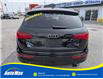 2016 Audi Q5 2.0T Progressiv (Stk: B1803A) in Sarnia - Image 6 of 28