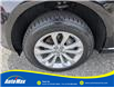 2016 Audi Q5 2.0T Progressiv (Stk: B1803A) in Sarnia - Image 10 of 28