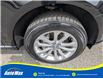 2016 Audi Q5 2.0T Progressiv (Stk: B1803A) in Sarnia - Image 11 of 28