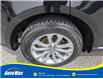 2016 Audi Q5 2.0T Progressiv (Stk: B1803A) in Sarnia - Image 12 of 28