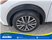 2024 Nissan Kicks SV (Stk: B1822) in Sarnia - Image 9 of 27
