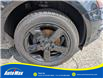 2012 Audi Q5 2.0T Premium Plus (Stk: B1782) in Sarnia - Image 11 of 26
