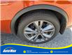 2021 Nissan Murano Platinum (Stk: B1778) in Sarnia - Image 9 of 24