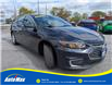 2018 Chevrolet Malibu 1FL (Stk: B1784B) in Sarnia - Image 3 of 29
