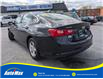2018 Chevrolet Malibu 1FL (Stk: B1784B) in Sarnia - Image 7 of 29