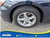 2018 Chevrolet Malibu 1FL (Stk: B1784B) in Sarnia - Image 9 of 29