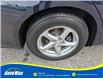 2018 Chevrolet Malibu 1FL (Stk: B1784B) in Sarnia - Image 11 of 29