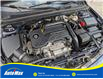 2018 Chevrolet Malibu 1FL (Stk: B1784B) in Sarnia - Image 13 of 29