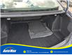 2018 Chevrolet Malibu 1FL (Stk: B1784B) in Sarnia - Image 29 of 29