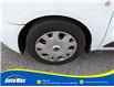 2021 Ford Transit Connect XLT (Stk: B1816) in Sarnia - Image 10 of 25