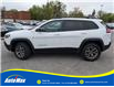 2022 Jeep Cherokee Trailhawk (Stk: B1776) in Sarnia - Image 8 of 28
