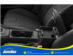 2015 Ford Focus SE (Stk: B1710A) in Sarnia - Image 10 of 11