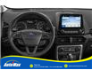 2019 Ford EcoSport Titanium (Stk: B1743) in Sarnia - Image 4 of 12