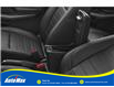 2019 Ford EcoSport Titanium (Stk: B1743) in Sarnia - Image 10 of 12
