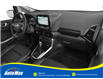 2019 Ford EcoSport Titanium (Stk: B1743) in Sarnia - Image 11 of 12