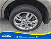 2013 Ford Edge SEL (Stk: B1651A) in Sarnia - Image 9 of 27