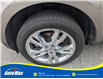 2013 Ford Edge SEL (Stk: B1651A) in Sarnia - Image 10 of 27