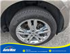 2013 Ford Edge SEL (Stk: B1651A) in Sarnia - Image 11 of 27