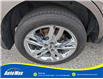2013 Ford Edge SEL (Stk: B1651A) in Sarnia - Image 12 of 27