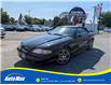 1997 Ford Mustang Base (Stk: B1652A) in Sarnia - Image 1 of 22